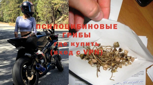 apvp Алексин