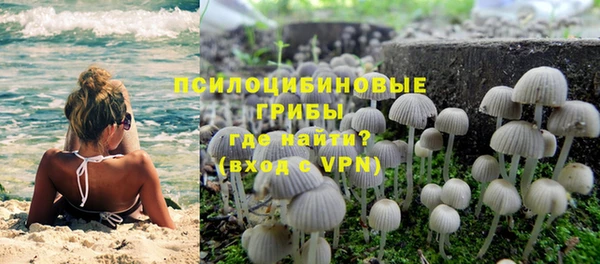 apvp Алексин