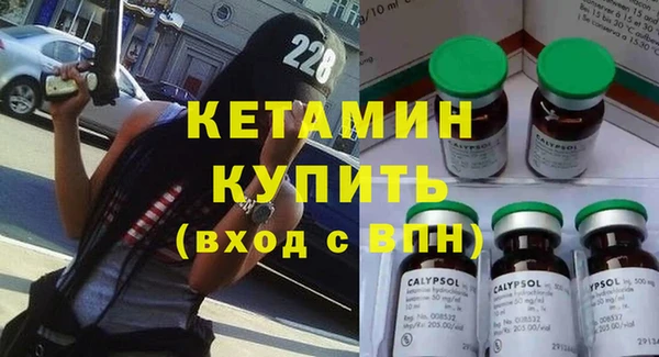 индика Новозыбков